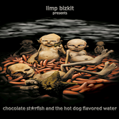 Альбом Chocolate Starfish and the Hot Dog Flavored Water