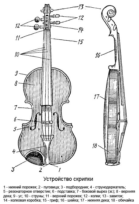 Устройство скрипки схема