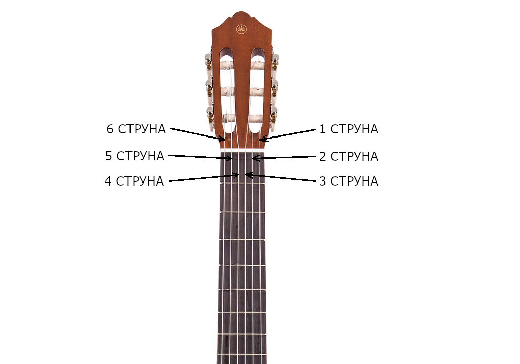 Номер электрогитары. Расположение струн на гитаре 6 струн. Расположение струн на гитаре классической 6 струнной. Нумерация струн на гитаре классической. Нумерация струн на гитаре 6 струнной.